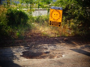 DSC00709