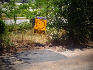 DSC00726