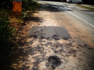 DSC00729