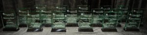 Common-Cause-Georgia-2014-Democracy-Awards